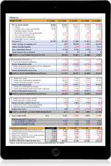 Automaticky potan CASH FLOW