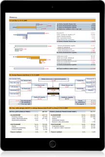 Grafick analza CASH FLOW